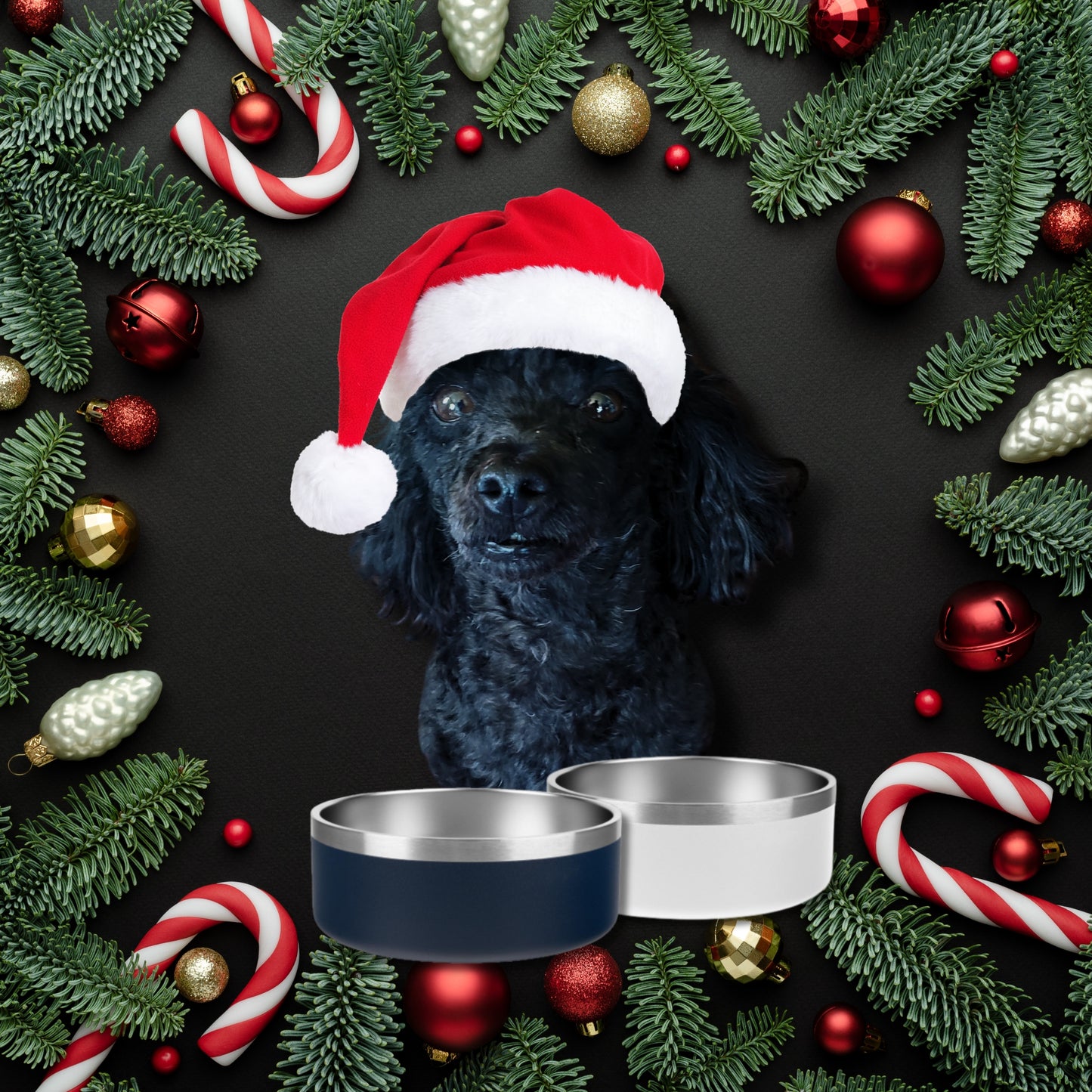 Laser Engraved Dog Bowls