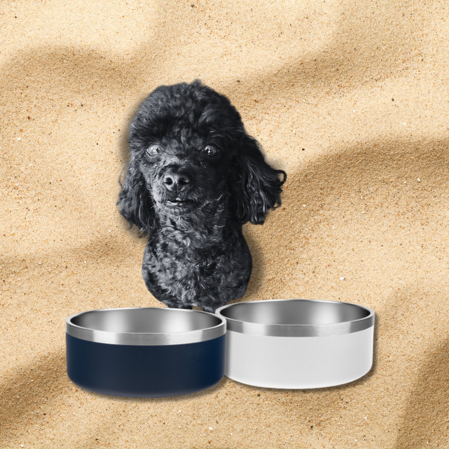 Laser Engraved Dog Bowls