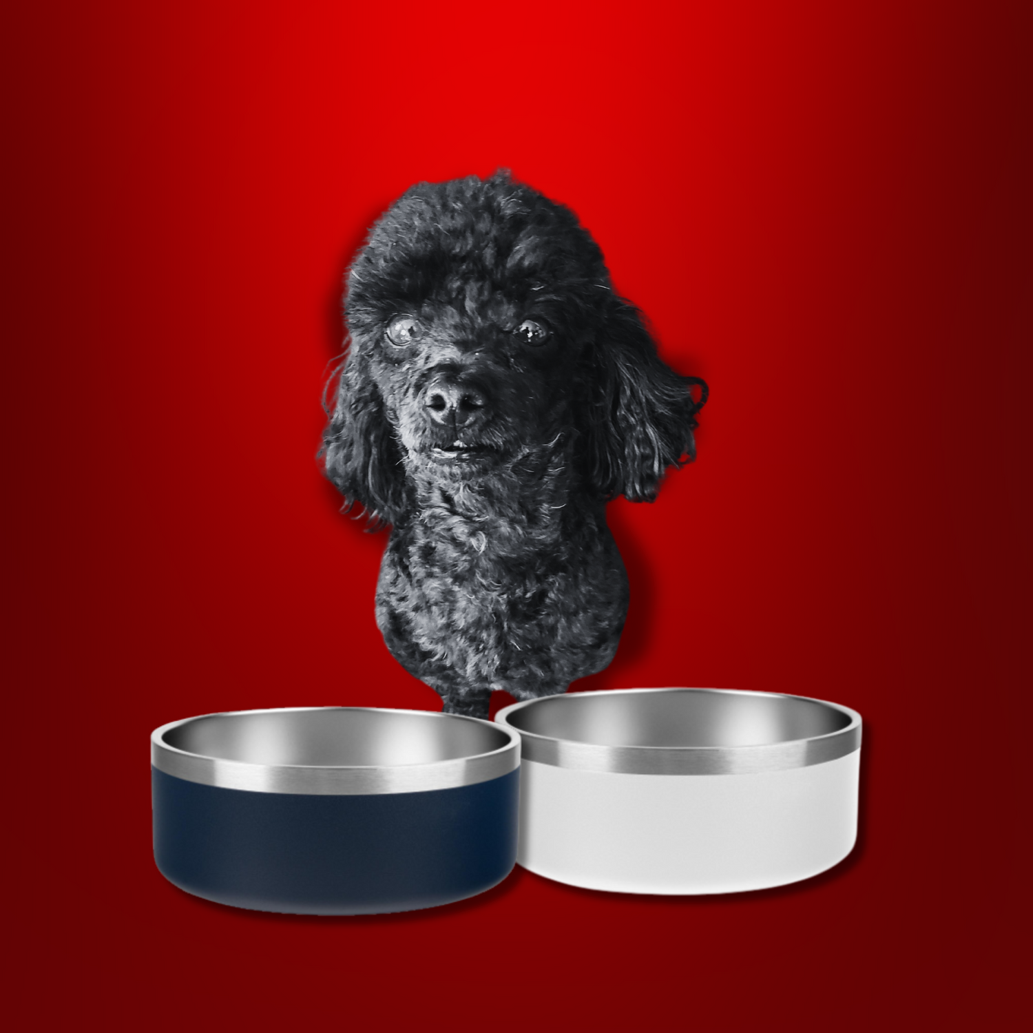 Gifts for Pets Collection