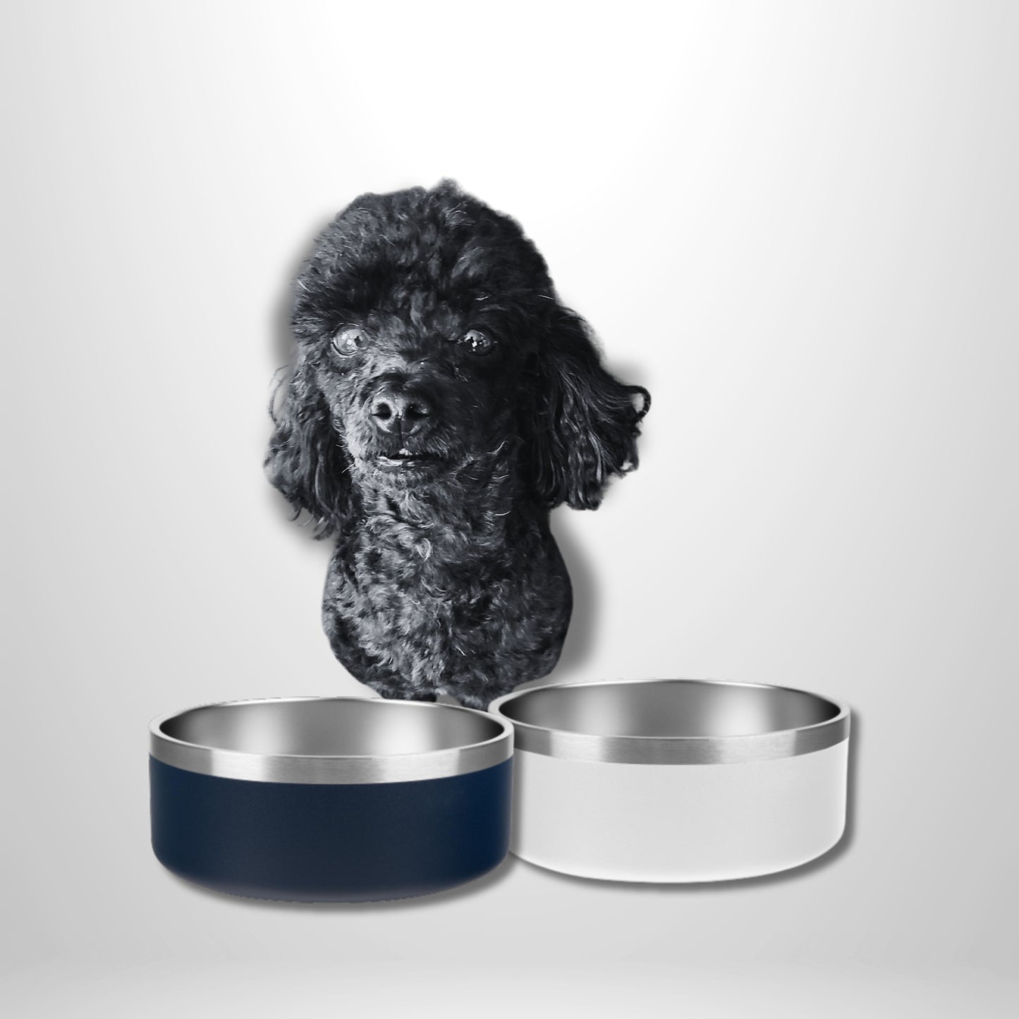 Laser Engraved Dog Bowls