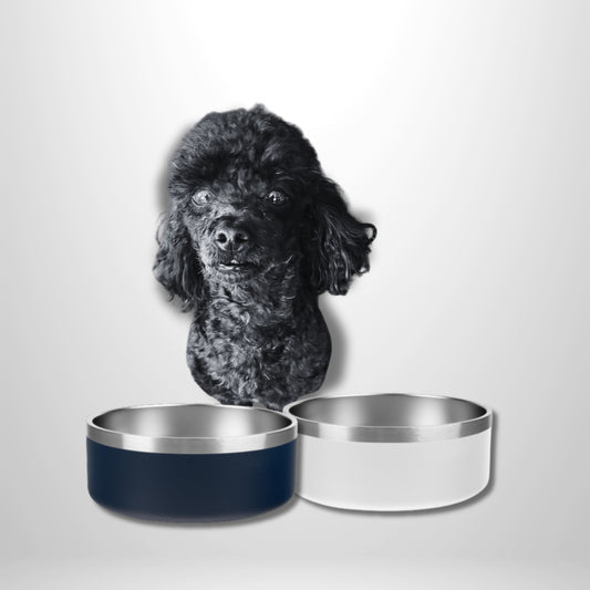 Laser Engraved Dog Bowls